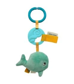 Ocean Activiteitenhanger - Walvis Splash