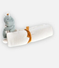 Mijn Eerste Dekentje Stegi Uit Mousseline, Beige/eucalytpus -Djeco Winkel f3815d8ca9134ce19bdf629f9d59b834